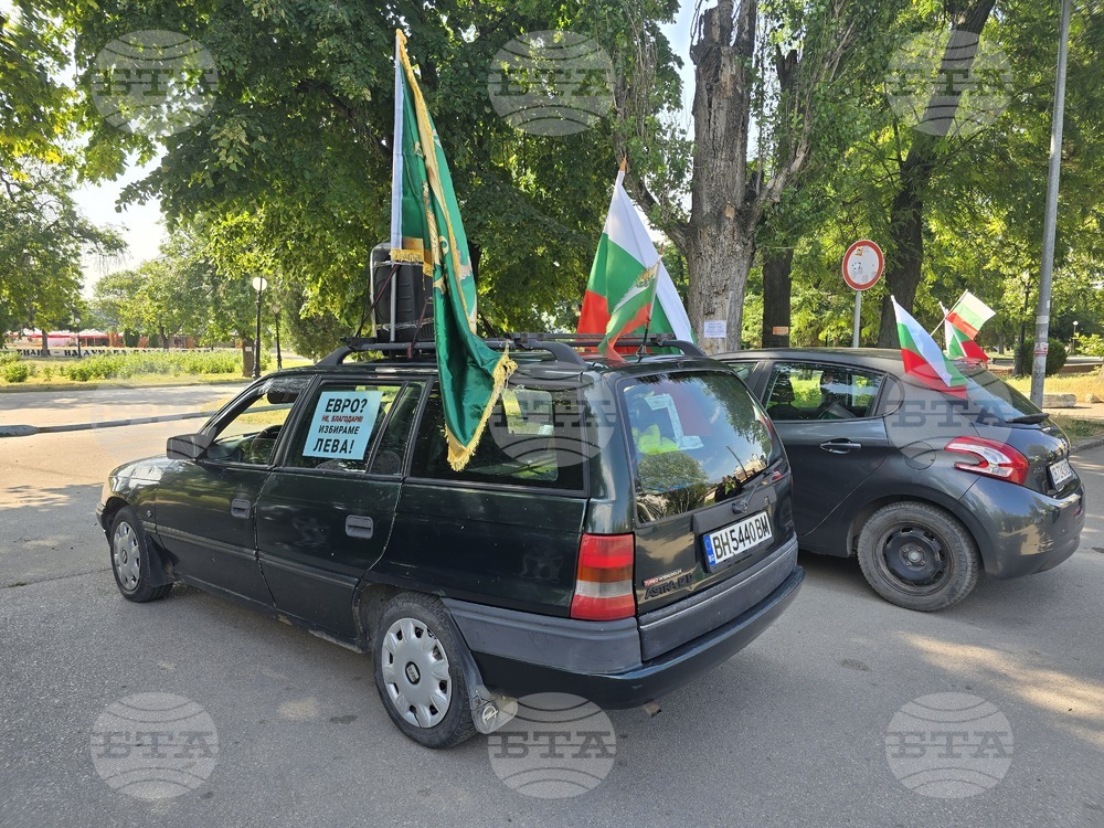 Видин - протест за запазване на българския лев - автошествие