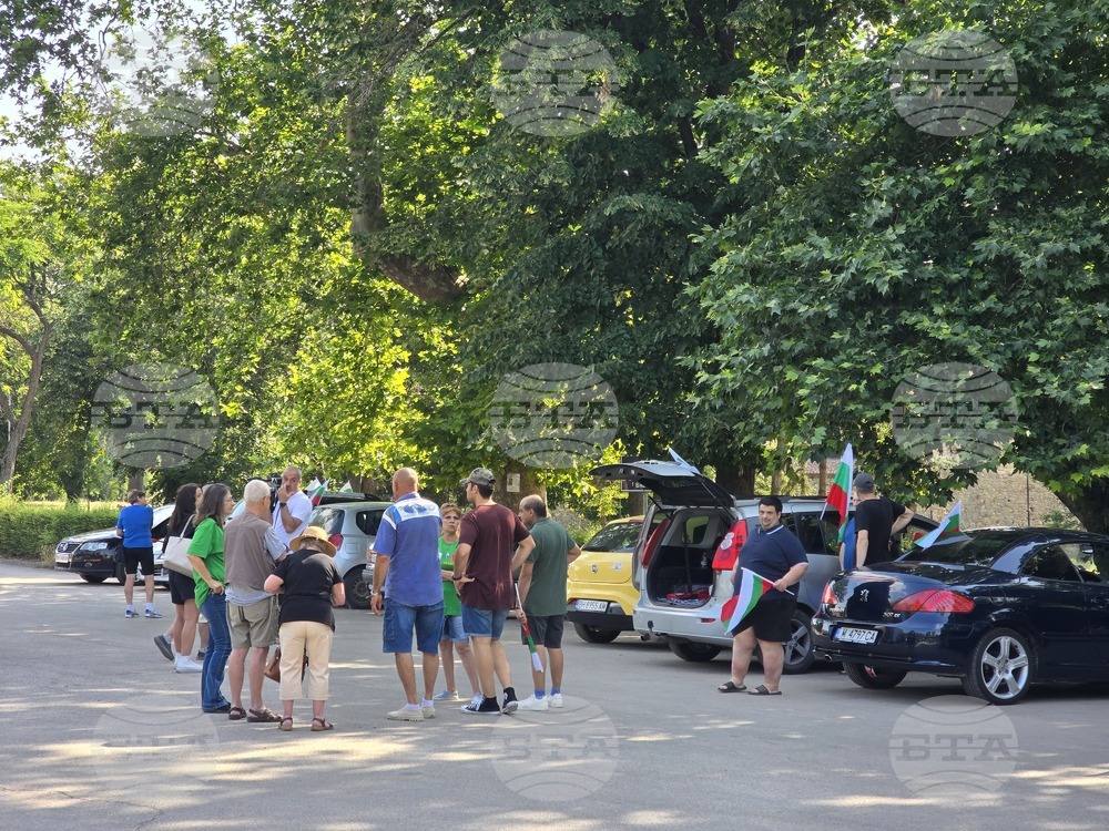 Видин - протест за запазване на българския лев - автошествие