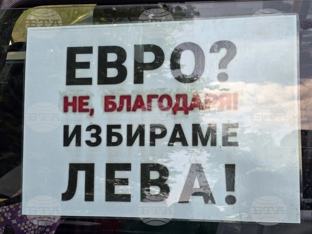 Видин - протест за запазване на българския лев - автошествие