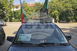 Видин - протест за запазване на българския лев - автошествие