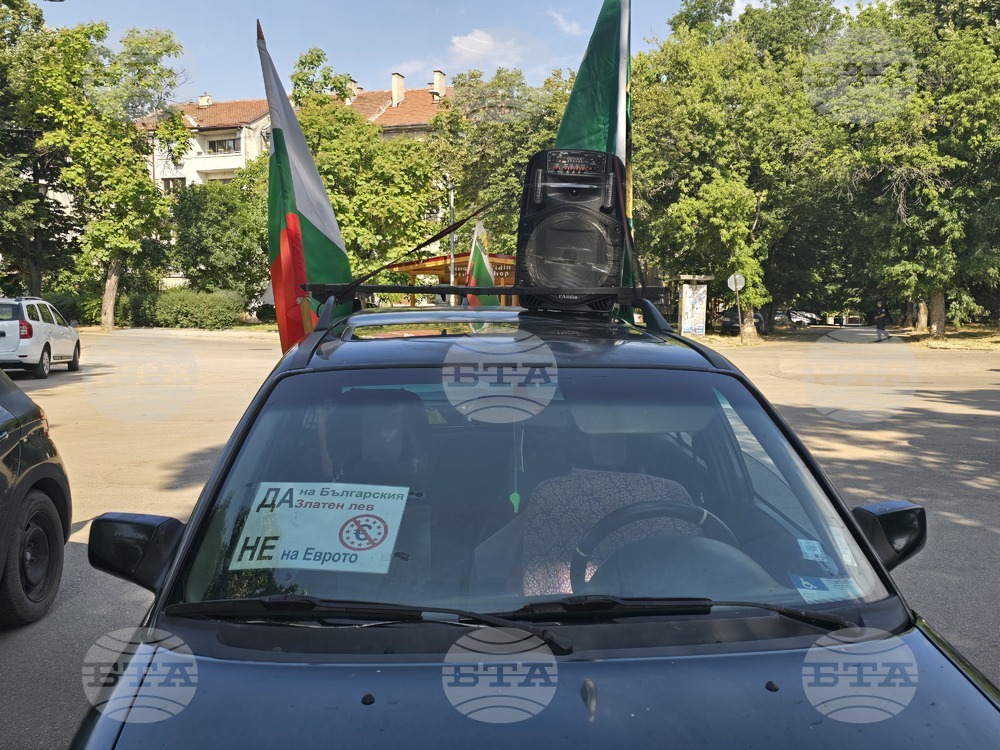 Видин - протест за запазване на българския лев - автошествие