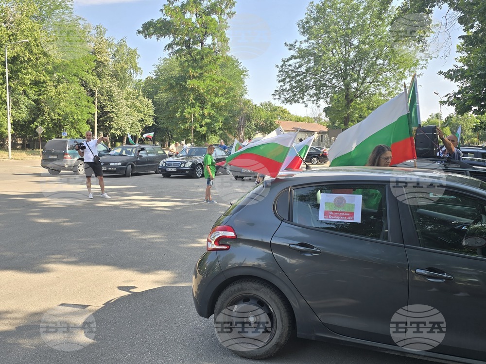 Видин - протест за запазване на българския лев - автошествие