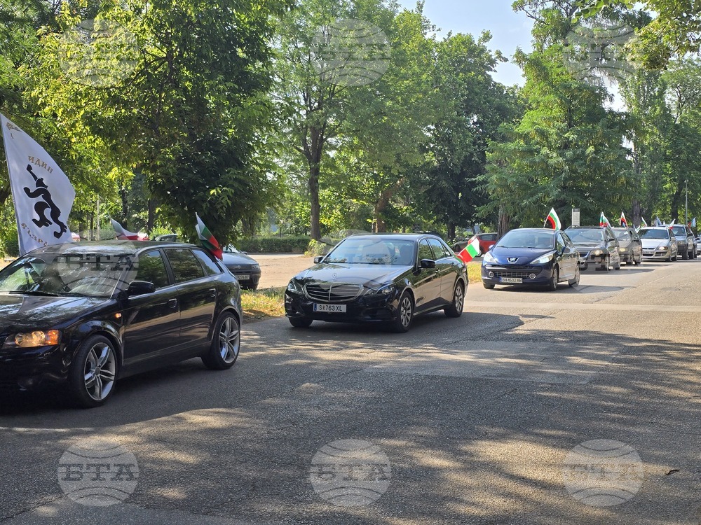 Видин - протест за запазване на българския лев - автошествие