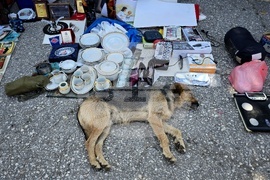 Квартал "Малашевци" - битак