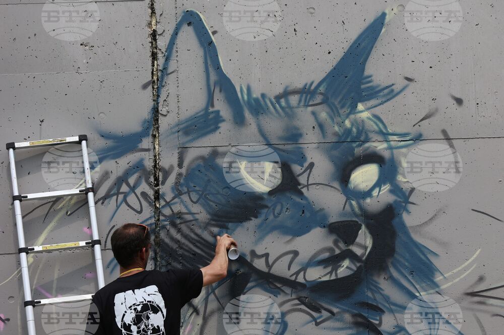 Турция - Анкара - улично изкуство - графити