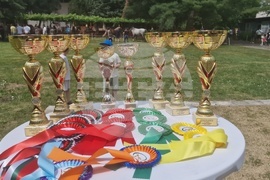 Троян - Село Орешак - изложение на български тежковозни коне