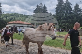 Троян - Село Орешак - изложение на български тежковозни коне