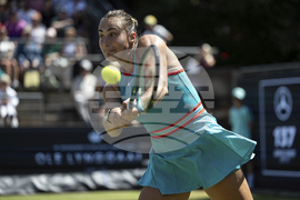 Germany Tennis