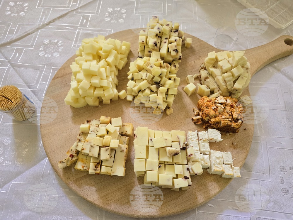Село Боровица - винарска изба - фестивал на ферментационните продукти