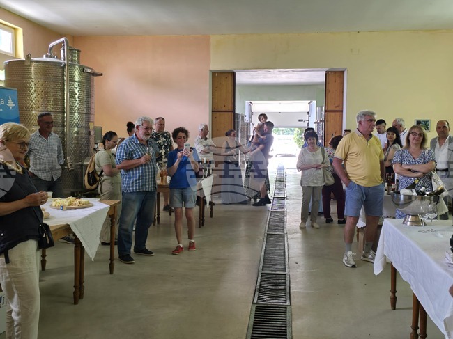 В белоградчишкото село Боровица се състоя фестивал на ферментационните продукти