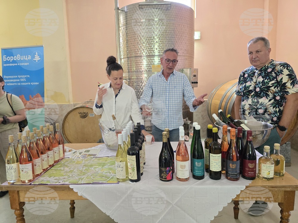 Село Боровица - винарска изба - фестивал на ферментационните продукти