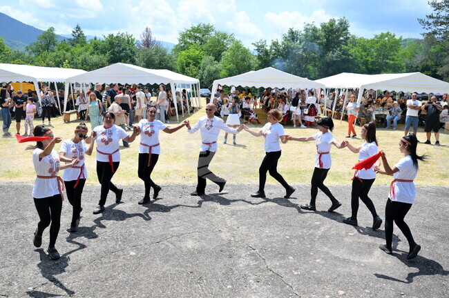 Георги Дамяново - фолклорен събор