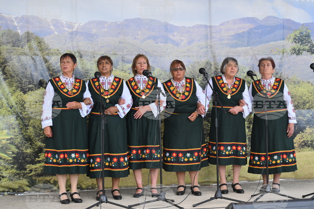 Георги Дамяново - фолклорен събор