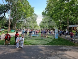 Русе - "Спорт и изкуство - път към независимости" - инициатива