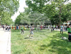 Русе - "Спорт и изкуство - път към независимости" - инициатива