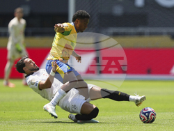 CWC Mamelodi Sundowns Borussia Dortmund Soccer