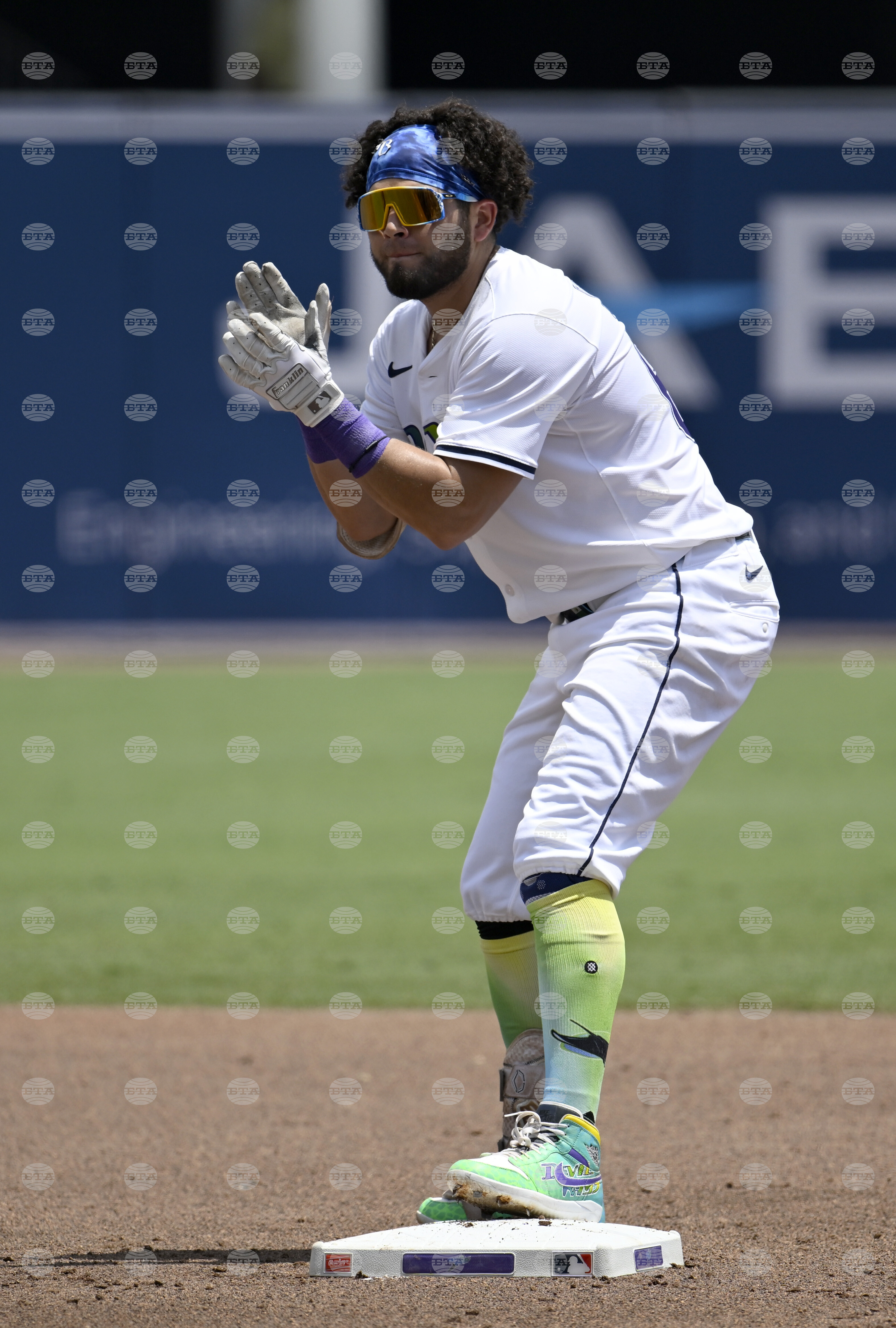 Tigers Rays Baseball