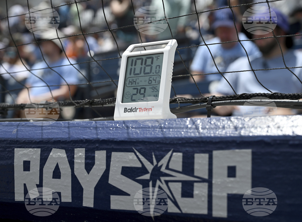 Tigers Rays Baseball