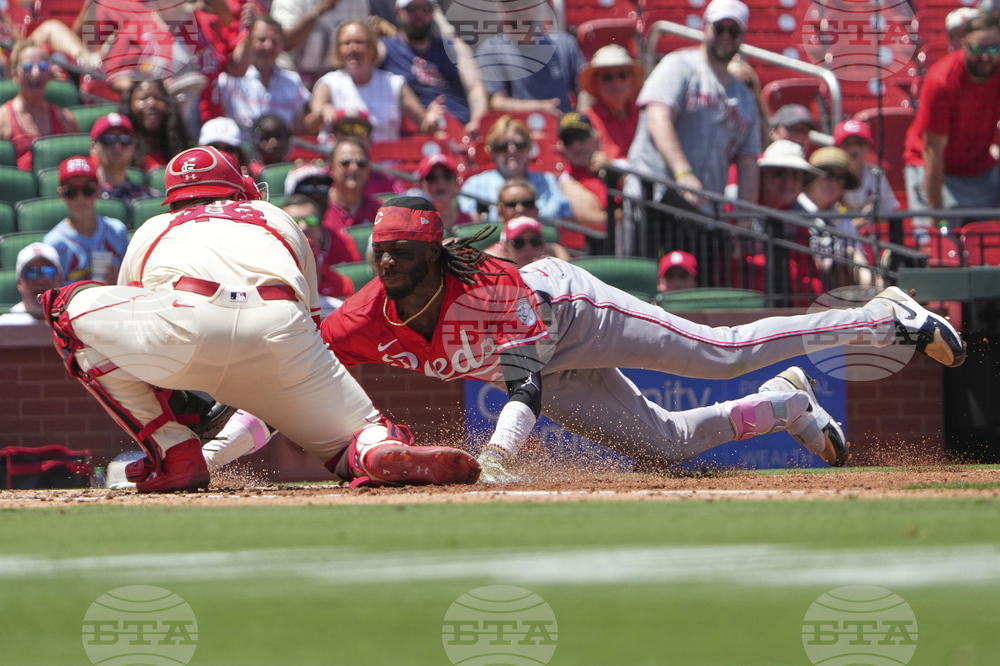 Reds Cardinals Baseball