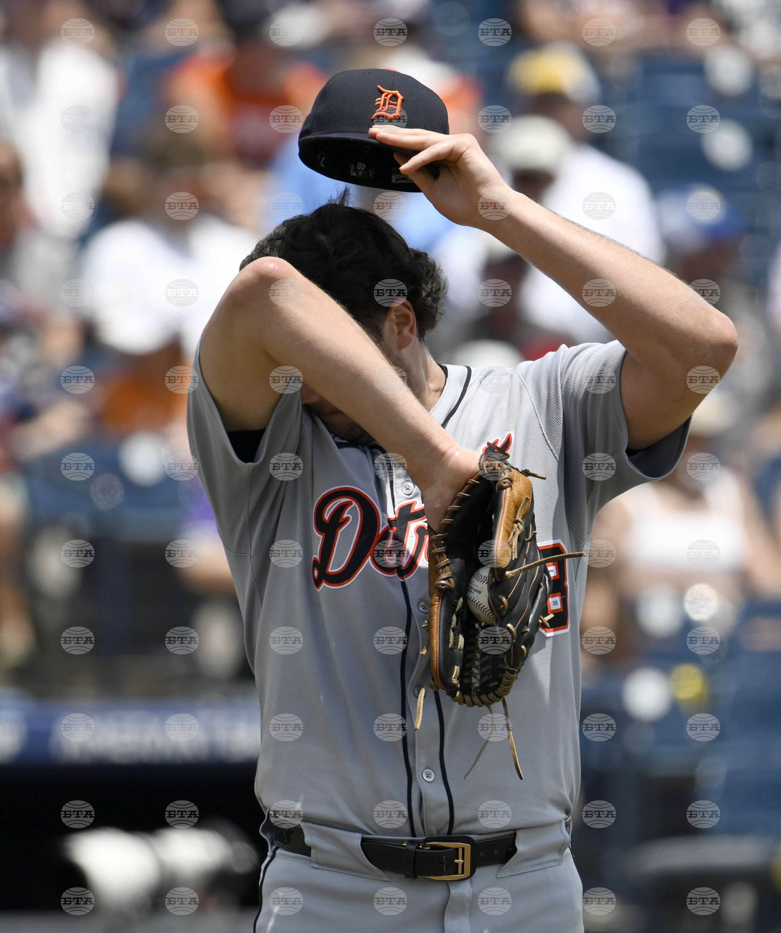 Tigers Rays Baseball