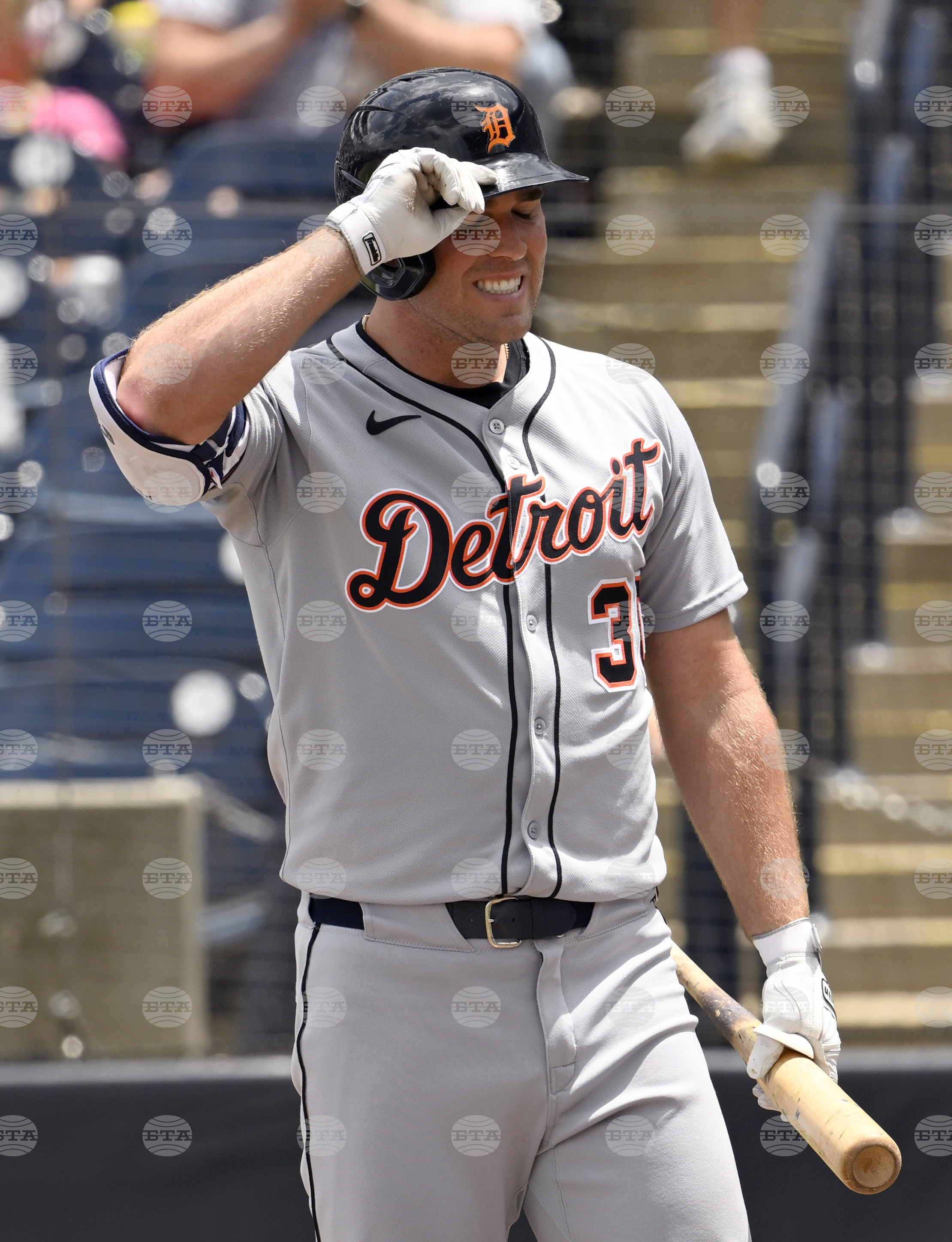 Tigers Rays Baseball