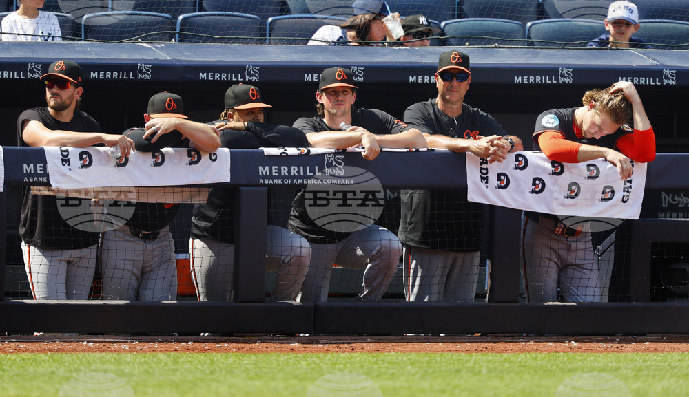 Orioles Yankees Baseball