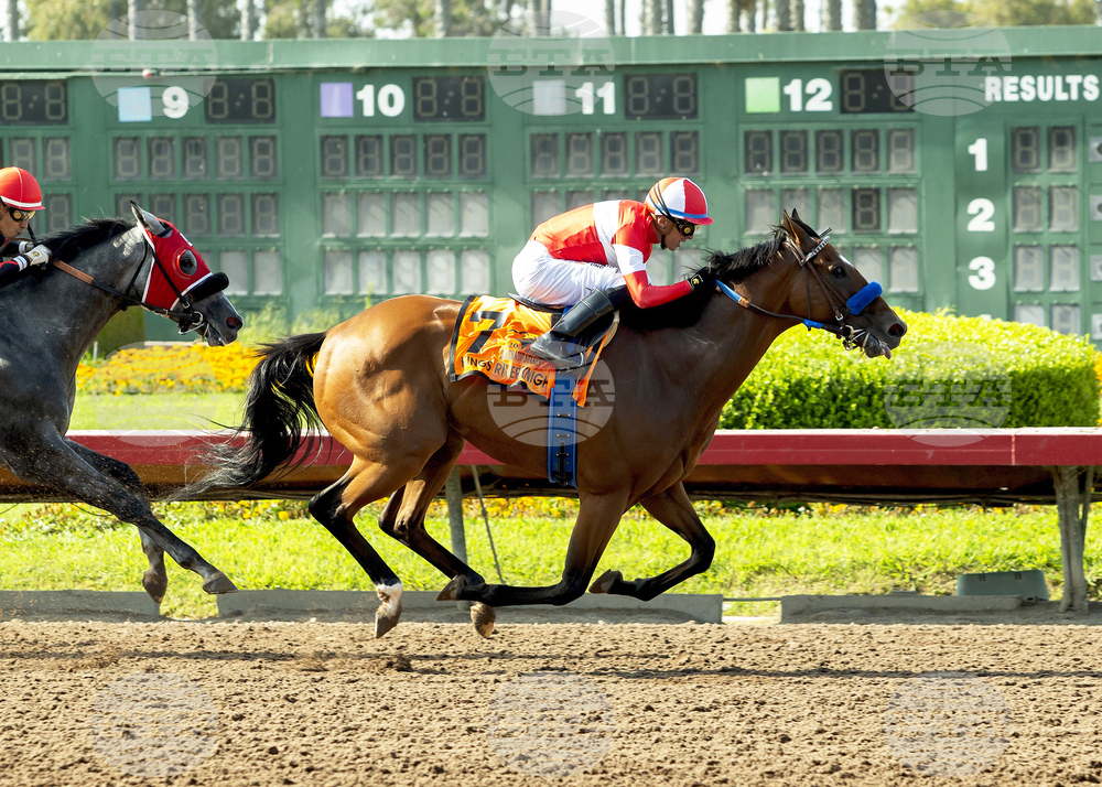 Santa Anita Horse Racing