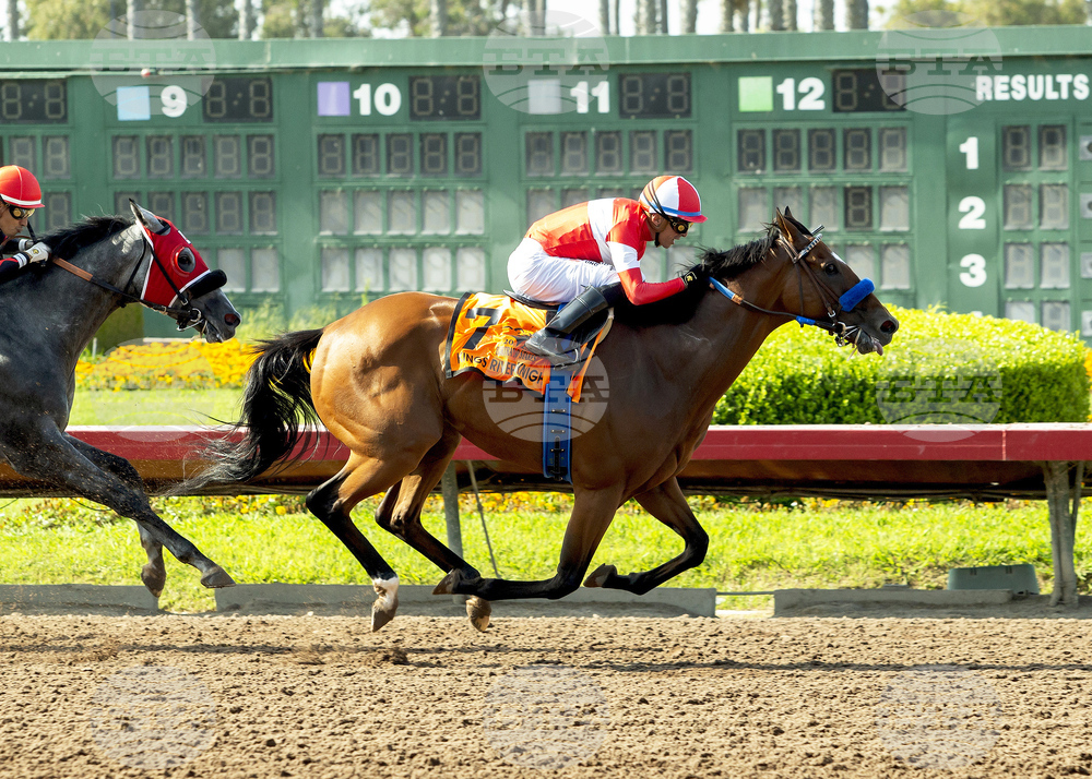 Los Alamitos Horse Racing
