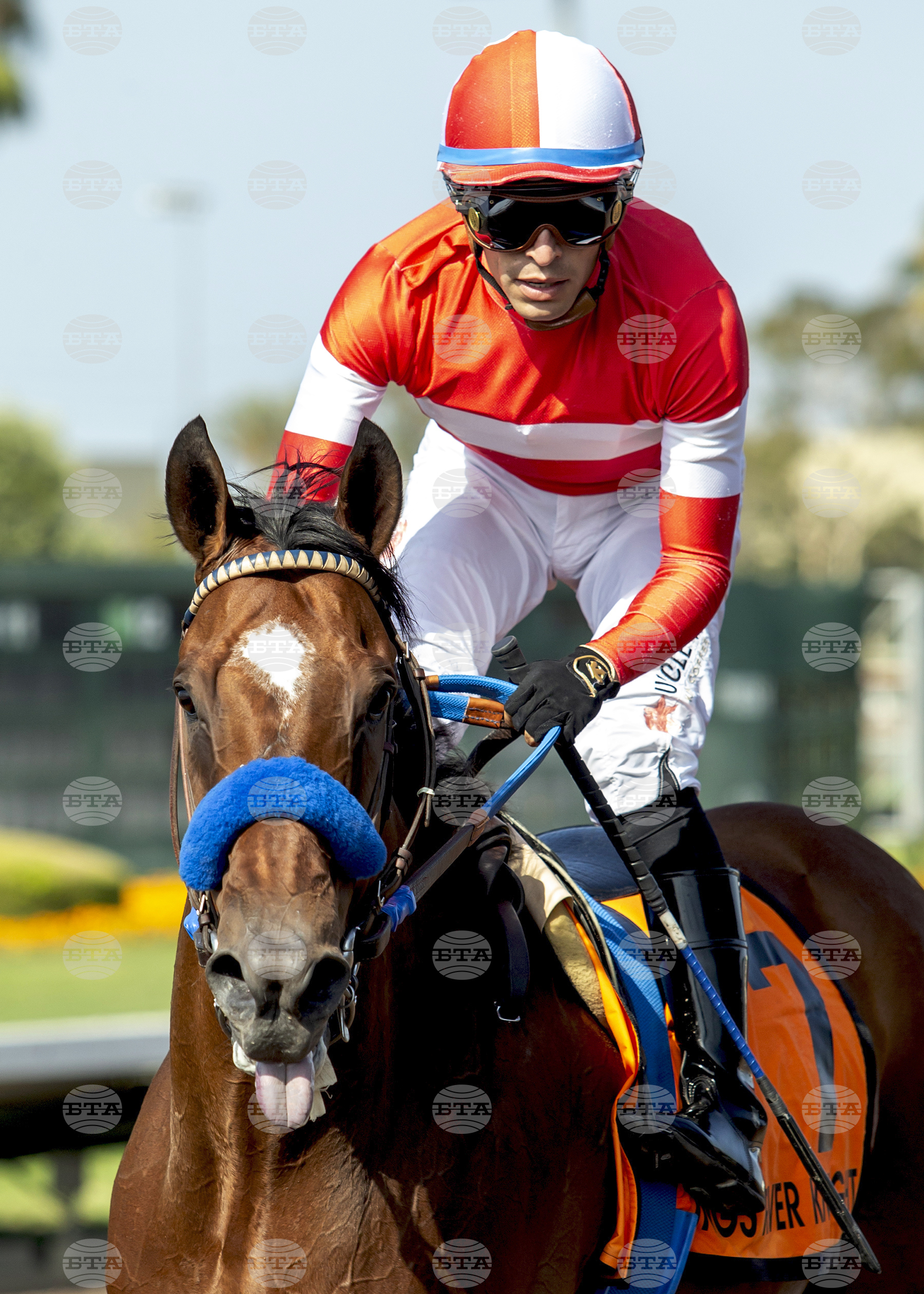 Los Alamitos Horse Racing