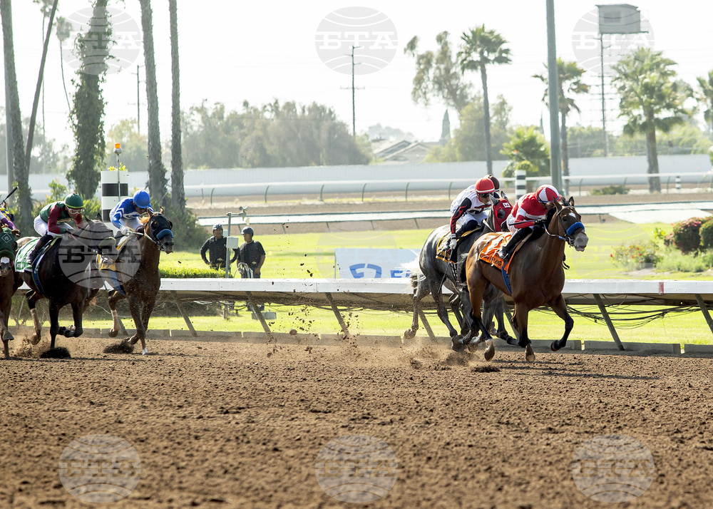 Los Alamitos Horse Racing