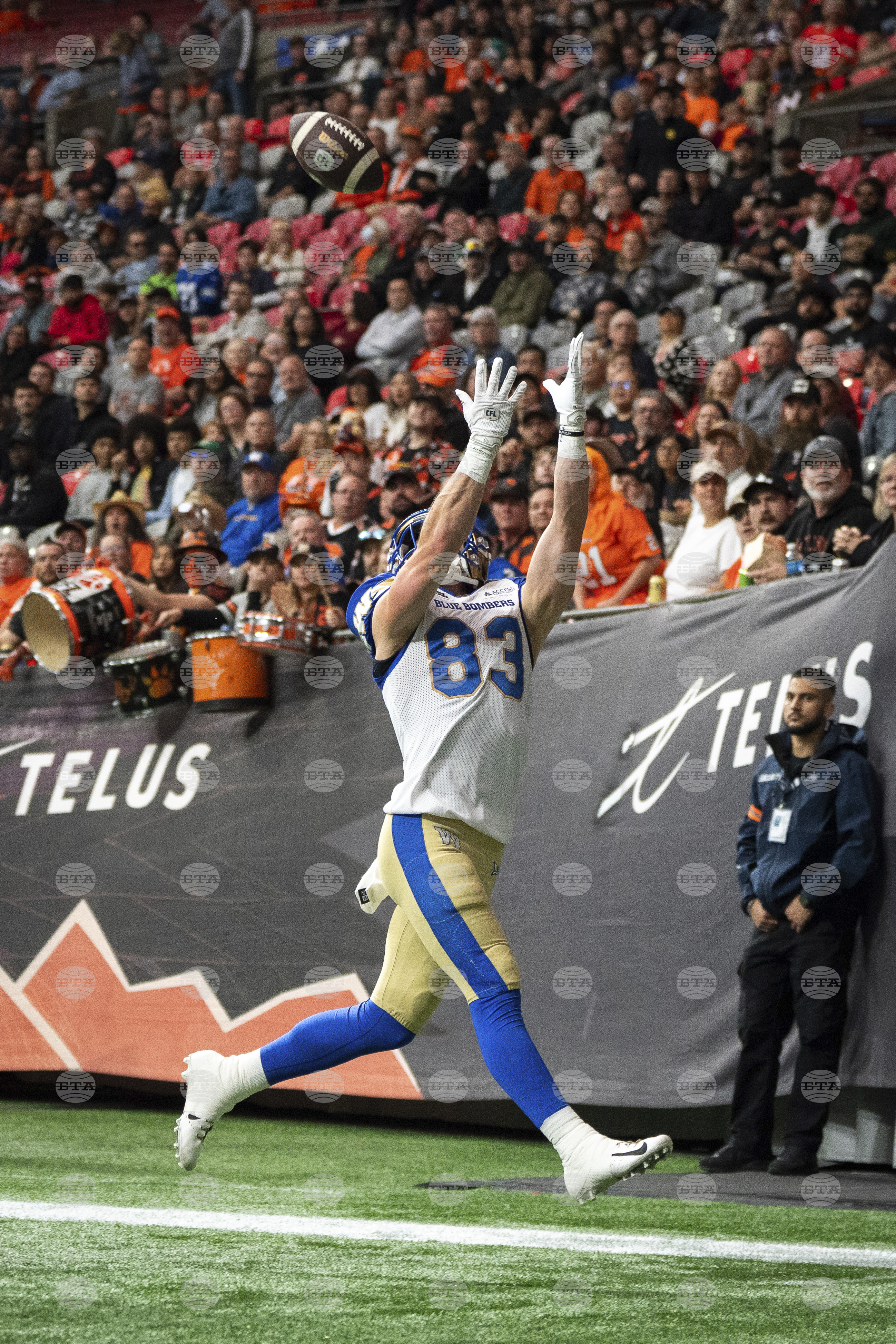 CFL Blue Bombers Lions Football