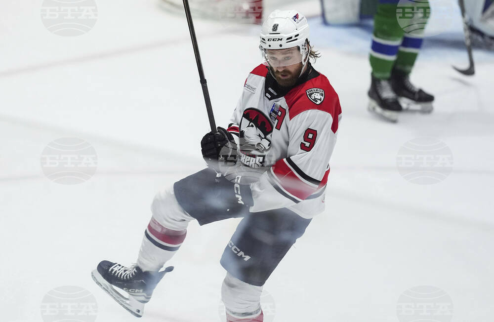 Calder Cup Final Hockey