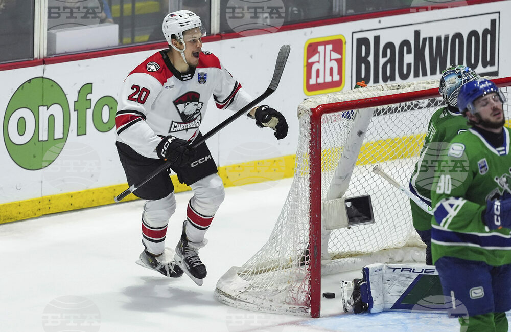 Calder Cup Final Hockey