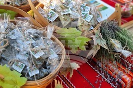 Стралджа - „Фолклорна магия“ - фестивал