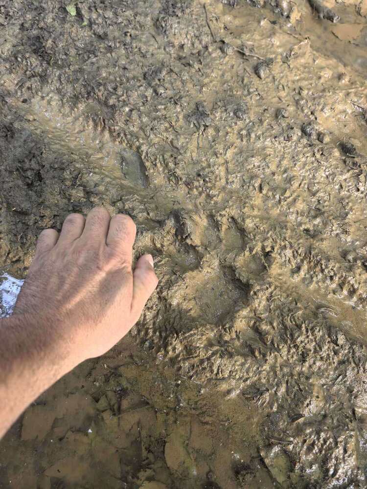 Заповедта за забрана на достъпа до горските територии в границите на Природен парк „Шуменско плато“ важи до 22 юли