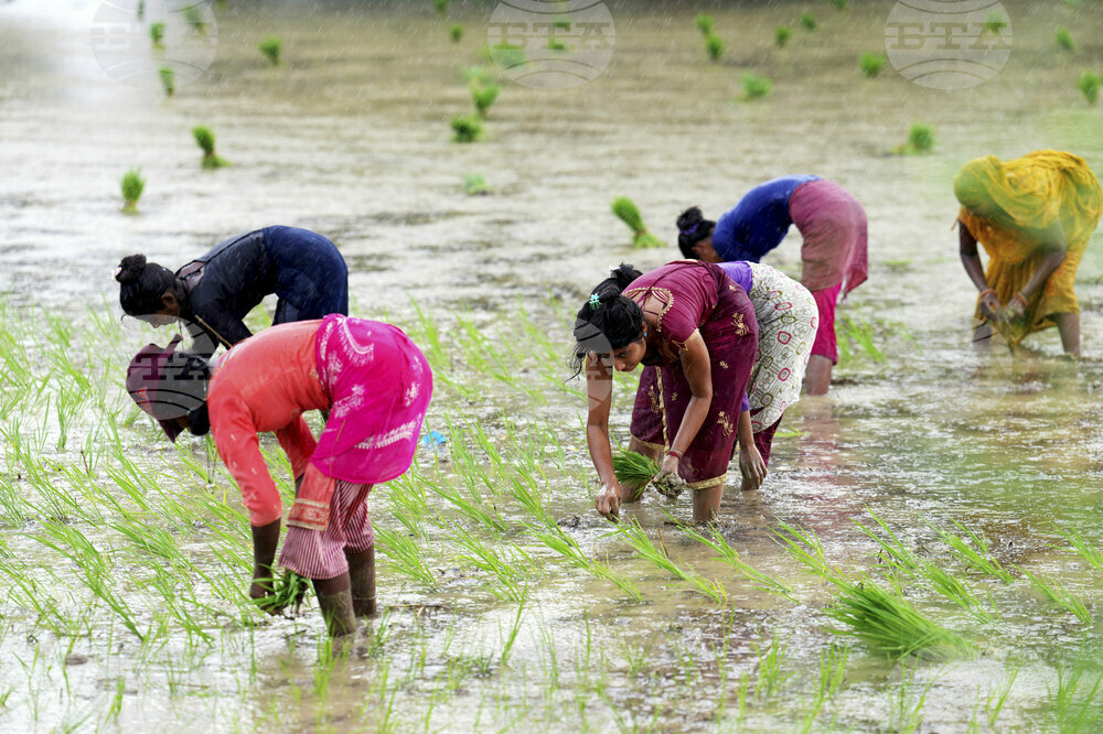 India Agriculture