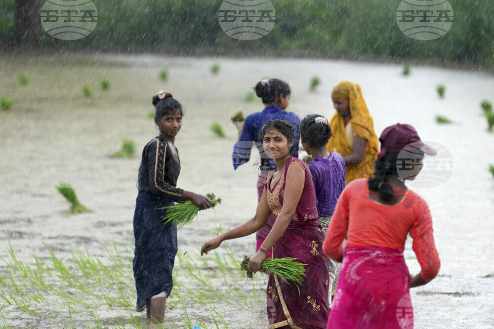 India Agriculture