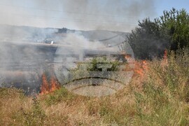 Димитровград - трактор - нива - пожар