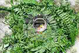 Асеновград - "Белинташ" - Еньовден - празник на билките, слънцето и живителната сила на природата