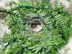 Асеновград - "Белинташ" - Еньовден - празник на билките, слънцето и живителната сила на природата