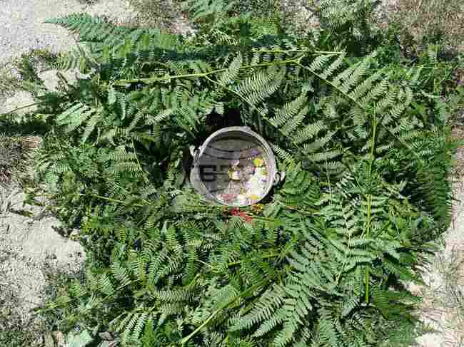 Близо 1700 старозагорци празнуват имен ден днес