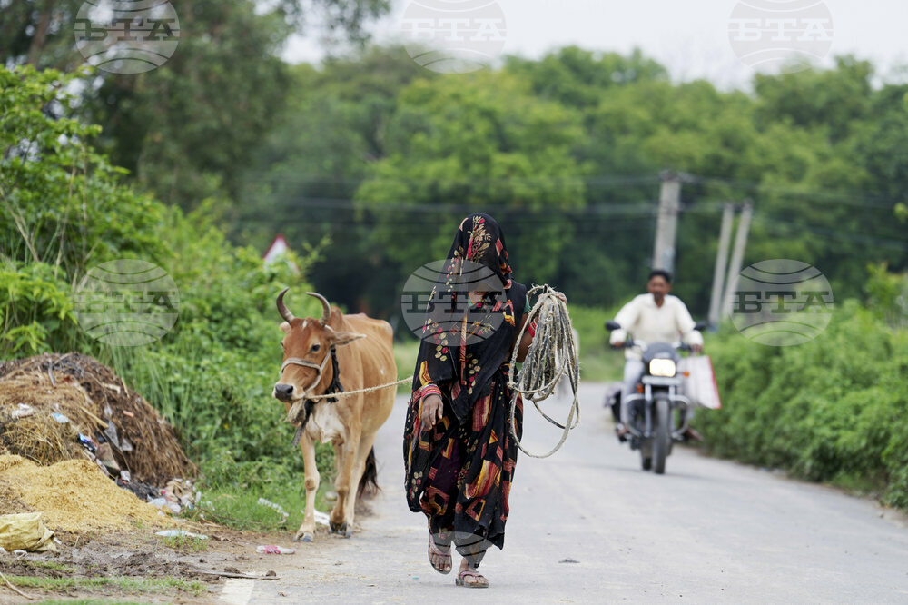 India Daily Life