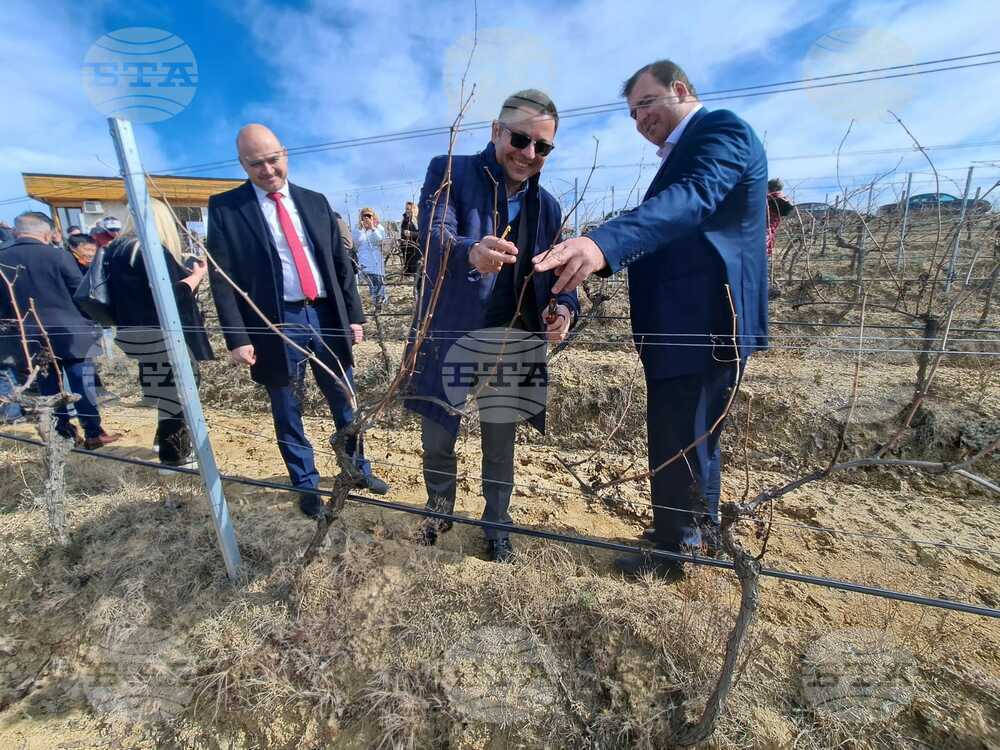 Wine Production Becomes Part of Bulgaria’s Intangible Cultural Heritage