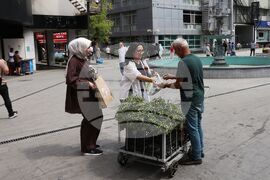 Турция - Анкара - ежедневие