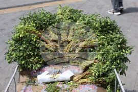 Турция - Анкара - ежедневие