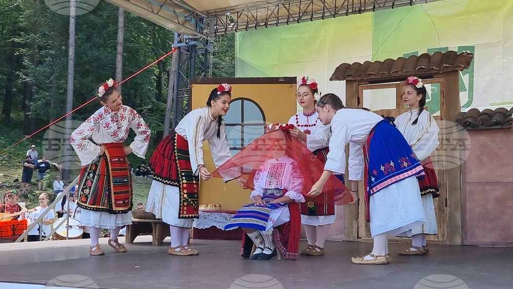 Леденика - Северняшка сватба