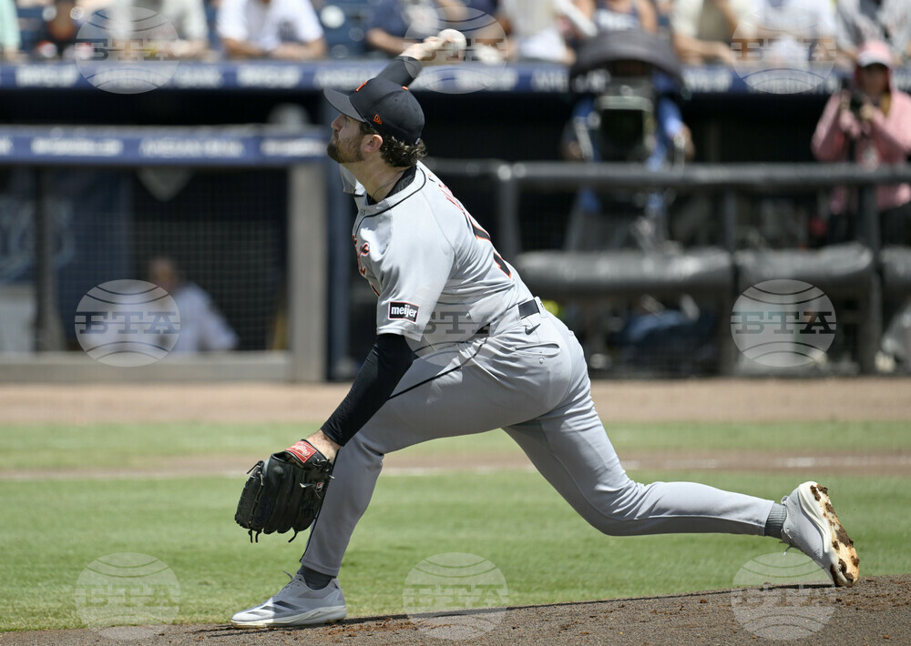Tigers Rays Baseball