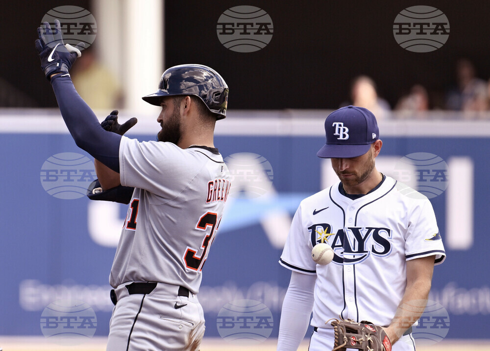 Tigers Rays Baseball