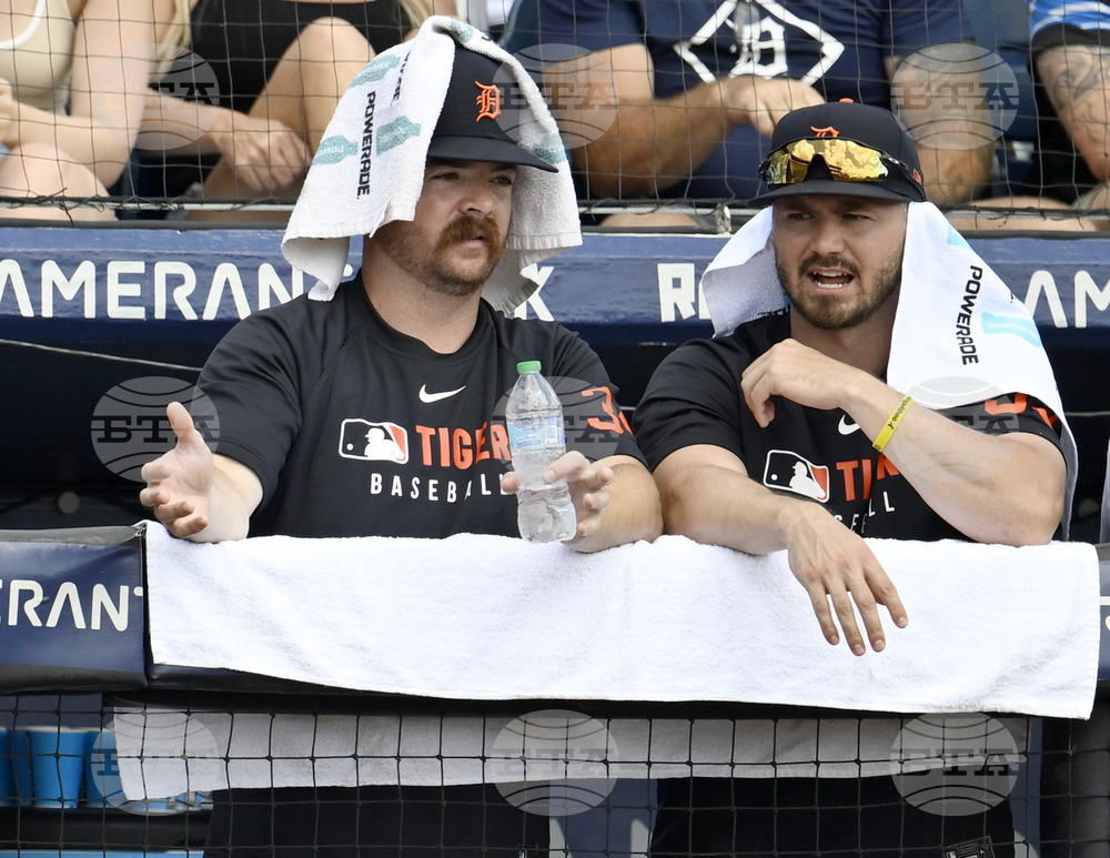 Tigers Rays Baseball