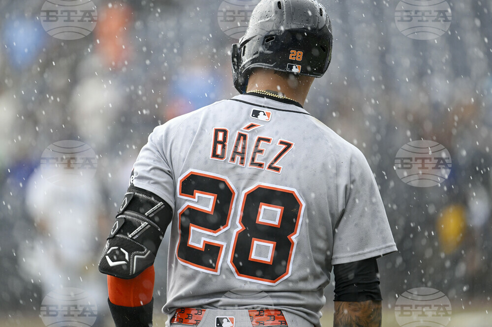 Tigers Rays Baseball